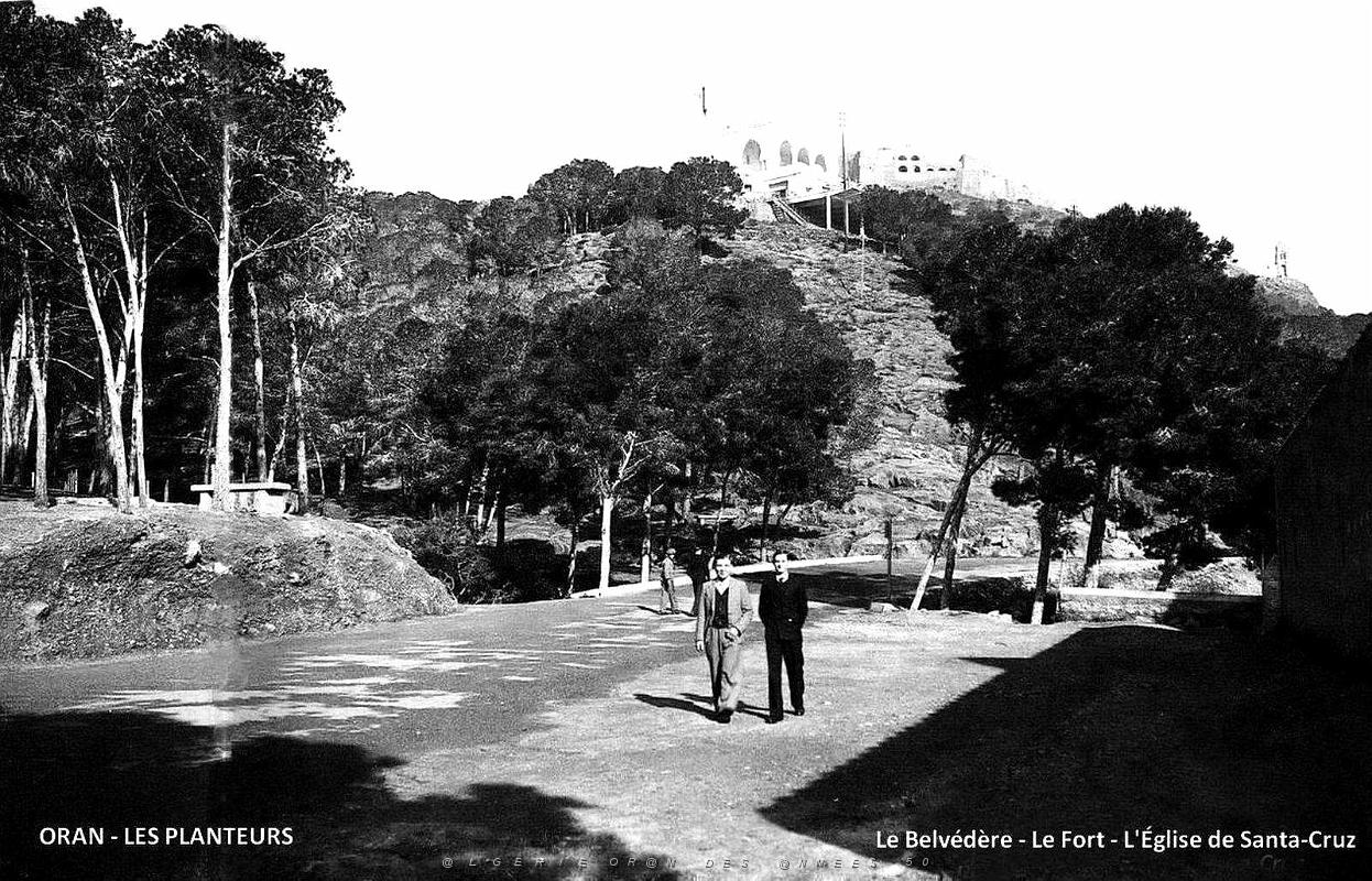 Oran - Les Planteurs.jpg